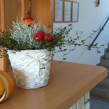 Penzion Lúčky Bagian luar foto