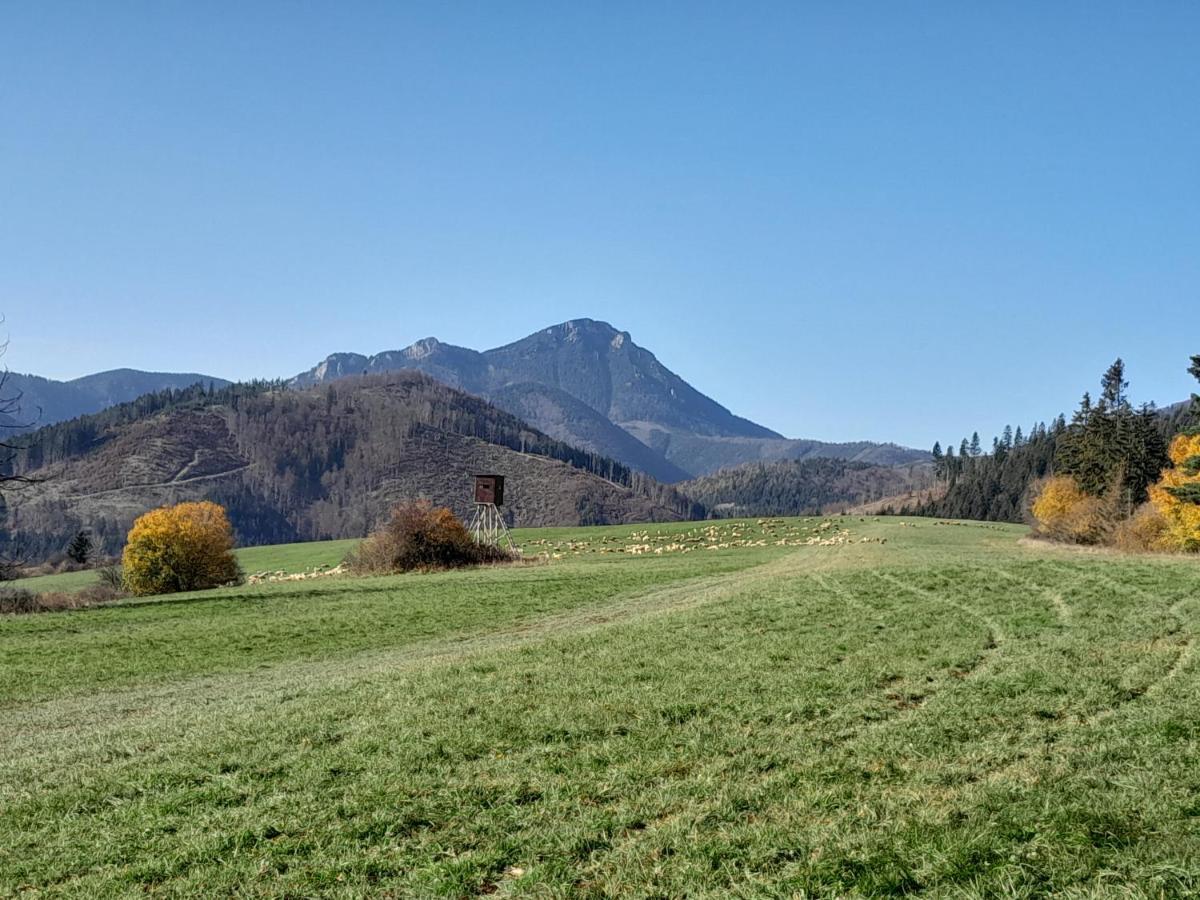 Penzion Lúčky Bagian luar foto